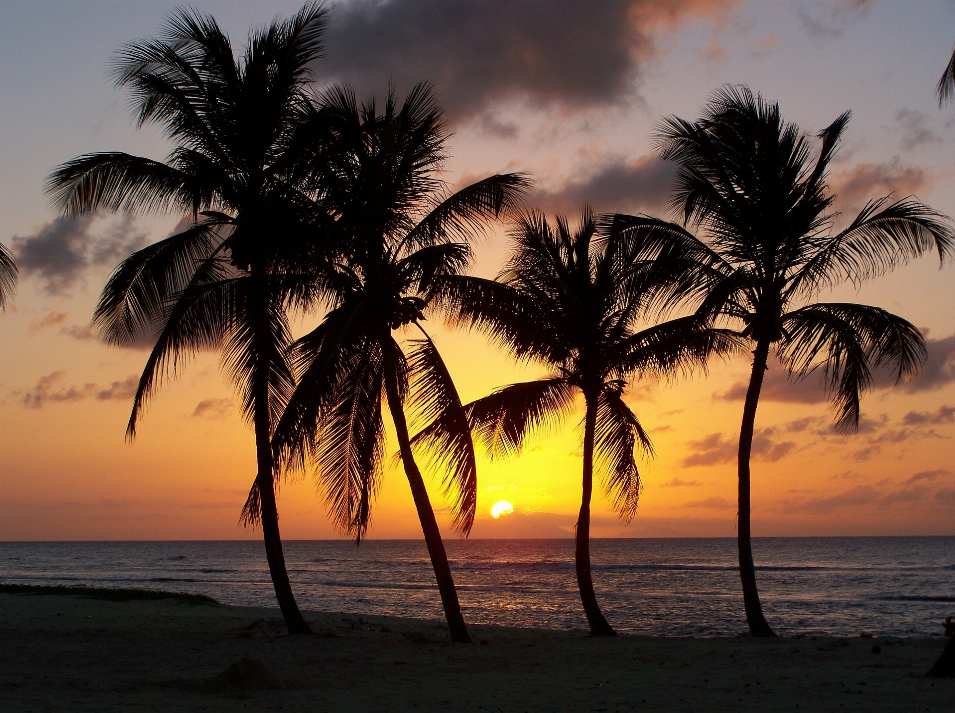 Faites une dégustation de rhum durant votre séjour en Guadeloupe